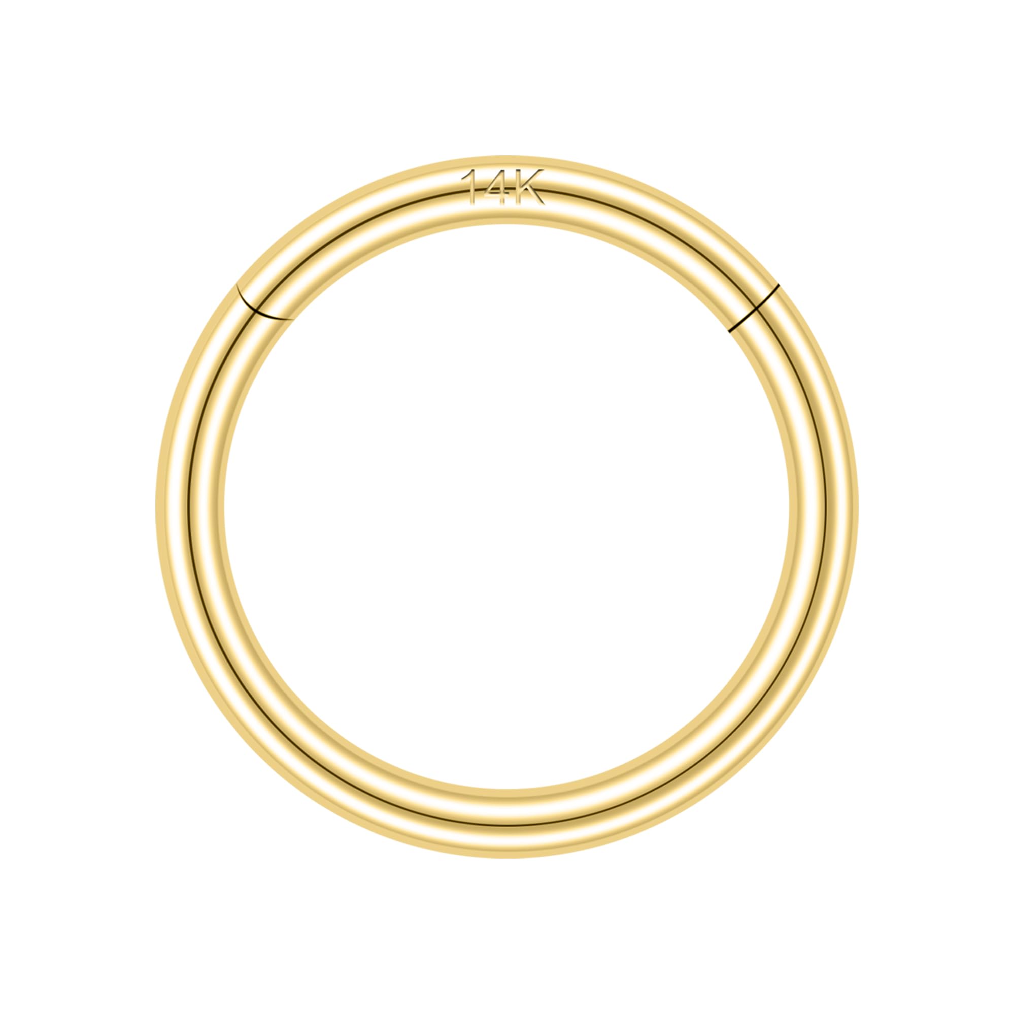 SYLWIA 14K Solid Gold 18g/16g Nose Rings, 6/8/10mm Hinged Segment Septum Rings, Real Gold Lip Tragus Helix Cartilage Conch Earring Hoops Piercing for Women Men