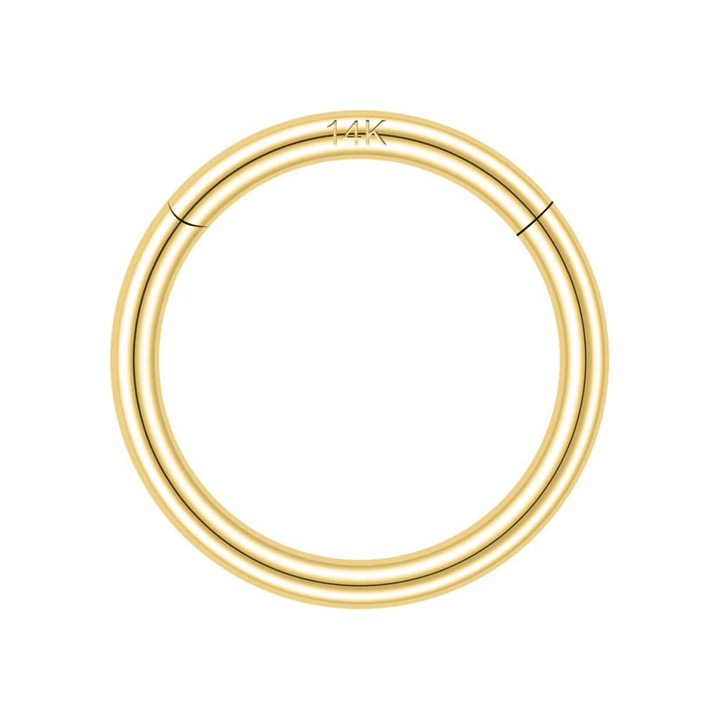 SYLWIA 14K Solid Gold 18g/16g Nose Rings, 6/8/10mm Hinged Segment Septum Rings, Real Gold Lip Tragus Helix Cartilage Conch Earring Hoops Piercing for Women Men