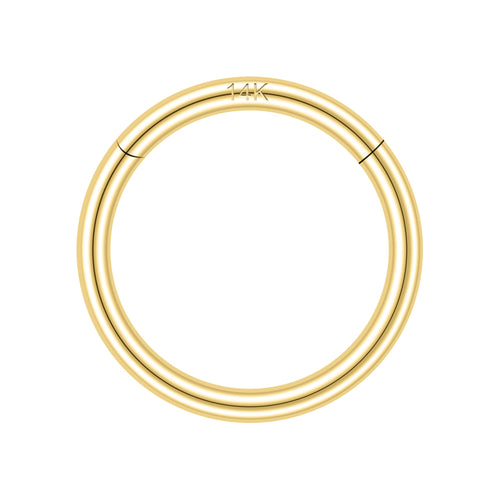 SYLWIA 14K Solid Gold 18g/16g Nose Rings, 6/8/10mm Hinged Segment Septum Rings, Real Gold Lip Tragus Helix Cartilage Conch Earring Hoops Piercing for Women Men
