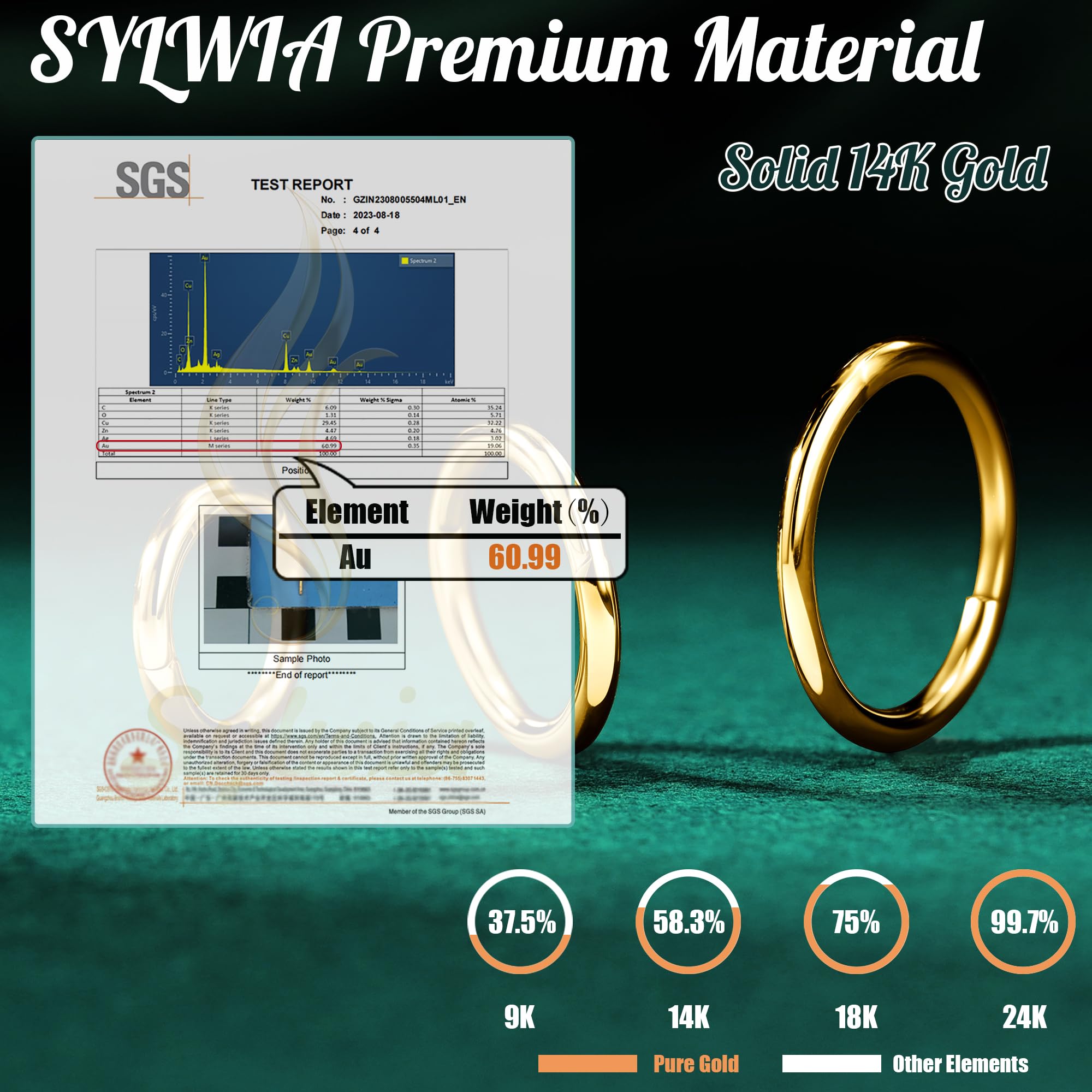 SYLWIA 14K Solid Gold 18g/16g Nose Rings, 6/8/10mm Hinged Segment Septum Rings, Real Gold Lip Tragus Helix Cartilage Conch Earring Hoops Piercing for Women Men
