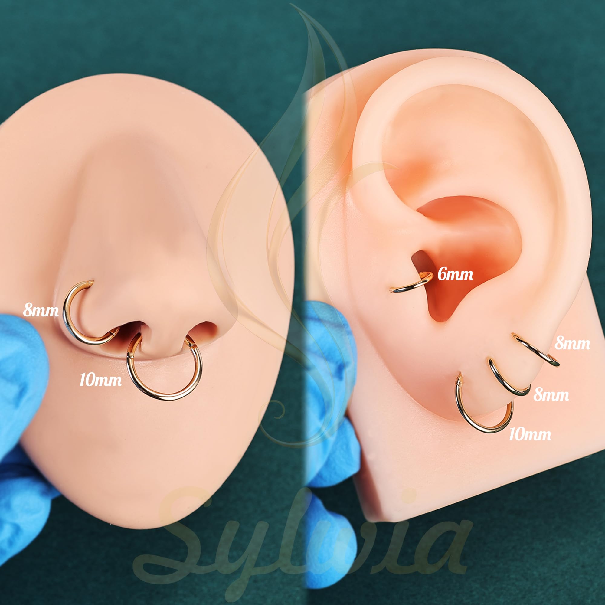 SYLWIA 14K Solid Gold 18g/16g Nose Rings, 6/8/10mm Hinged Segment Septum Rings, Real Gold Lip Tragus Helix Cartilage Conch Earring Hoops Piercing for Women Men